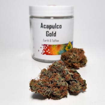 Acapulco Gold by Pioneer Nuggets